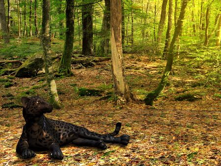 BLACK PANTHER - A beautiful black panther lies down in the deep forest too rest. BLACK PANTHER - A beautiful black panther lies down in the deep forest too rest.