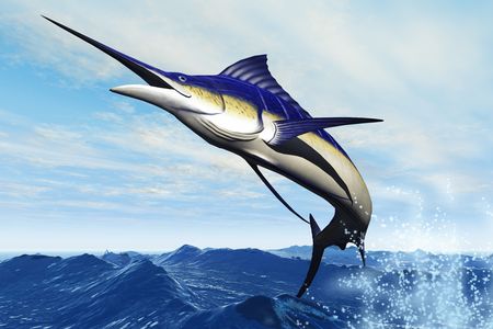 MARLIN JUMP - A sleek blue marlin bursts from the ocean surface in a grand leap.の写真素材