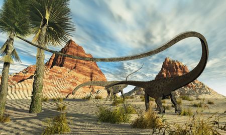 Two Diplodocus dinosaurs search for food in a desert landscape.の写真素材