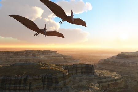 Prehistoric Canyon - Two Pterodactyl flying dinosaurs soar above a beautiful canyon.の写真素材