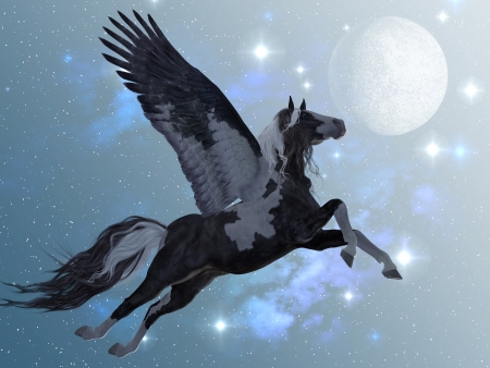 Pegasus 03 - A beautiful black and white Pegasus flies up into the sky on long feathered wings の写真素材