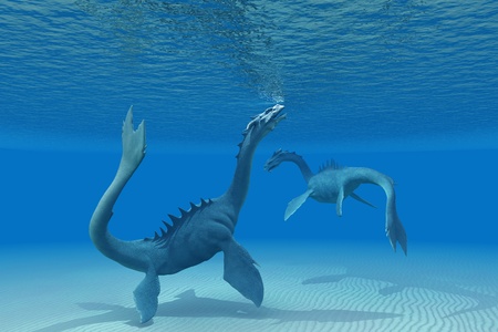 Two Sea Dragons - A Sea Dragon goes up to the ocean surface for a breath of air の写真素材