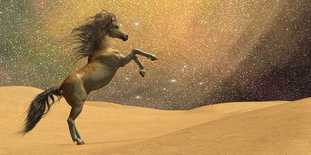 Wilderness Horse - A stallion rears in a desert underneath a night sky full of stars の写真素材