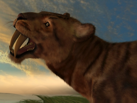 Smilodon Cat - The Saber-Tooth Cat also called Smilodon had dagger like front canine teeth の写真素材