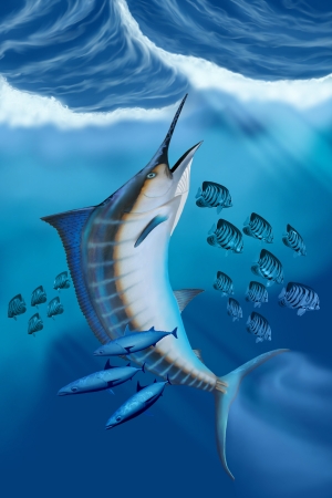 Marlin Fish - Small fish scatter as a huge Blue Marlin swims to the ocean surface with a burst of speed.の写真素材