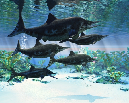 Ichthyosaur - Ichthyosaurs were giant marine reptiles that were a carnivore in the Mesozoic era の写真素材