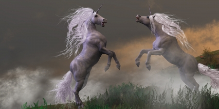 Unicorn Stallions Fighting - Lost in mountain foggy mist two unicorn bucks fight for dominance の写真素材