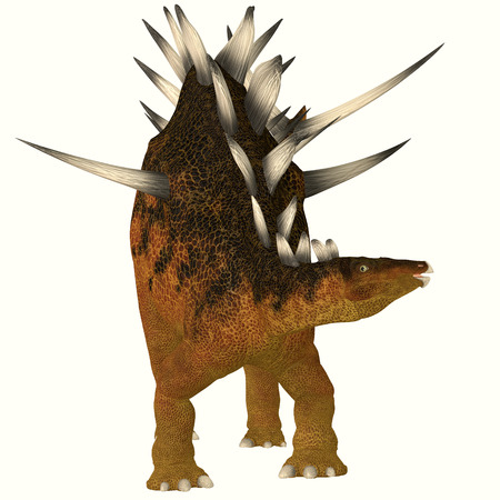 Kentrosaurus on White - The Kentrosaurus dinosaur from the Jurassic Period of North America has plates along its spine and spikes on its shoulders and tail の写真素材