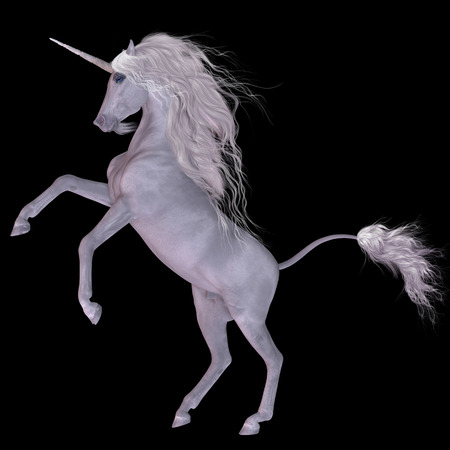 Unicorn on Black - The Unicorn is a mythological creature having the body of a horse with a forehead horn, a lion tail, a beard and cloven hoofs.の写真素材