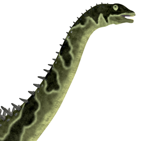 Agustinia Dinosaur Head - Agustinia was a herbivorous titanosaur dinosaur that lived in the Cretaceous Period of South America.の写真素材
