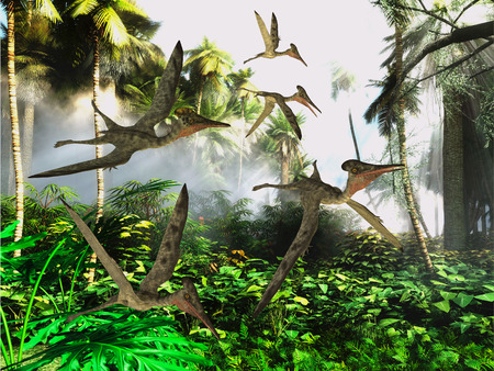 Pterodactylus Flying Reptiles - A flock of Pterodactylus dinosaur reptiles fly over the jungle searching for their next meal.の写真素材