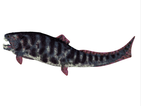 Dunkleosteus Devonian Fish - Dunkleosteus is a Devonian prehistoric fish that lived in the seas of...