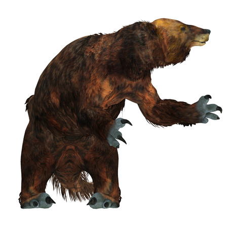 Megatherium Sloth on White - Megatherium was one of the largest ground sloths that lived in Central and South America in the Pliocene to the Pleistocene Periods.の写真素材