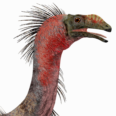 Therizinosaurus Dinosaur Head - Therizinosaurus was a carnivorous theropod dinosaur that lived in the Cretaceous Period of Mongolia.の写真素材