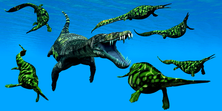 Nothosaurus Marine Reptile - A Nothosaurus marine reptile attacks a pod of Hepehsuchus dinosaurs in a Triassic Ocean.の写真素材