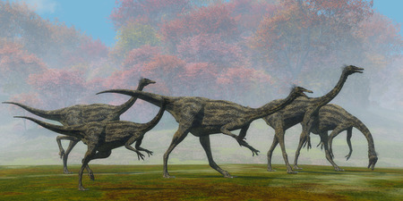 Gallimimus Dinosaur Fall Day - A flock of Gallimimus dinosaur reptiles forage for food in the Cretaceous Period of Mongolia.の写真素材