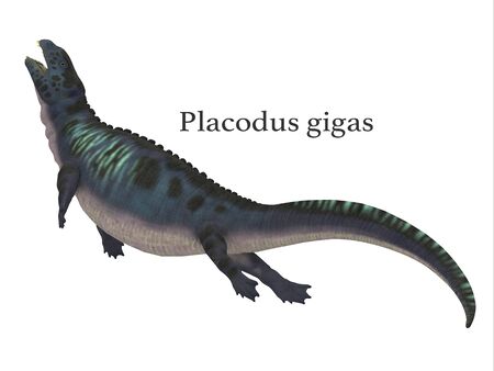 Placodus Dinosaur with Font - Placodus was a marine reptile that swam in the shallow seas of the...