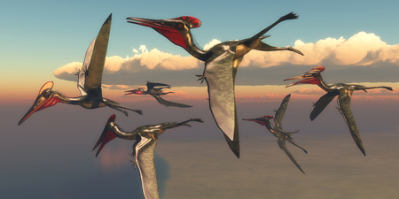 Pterodactylus Pterosaurs in Flight - A flock of Pterodactylus Pterosaurs fly out to the ocean to hunt for fish in the Jurassic Period.の写真素材