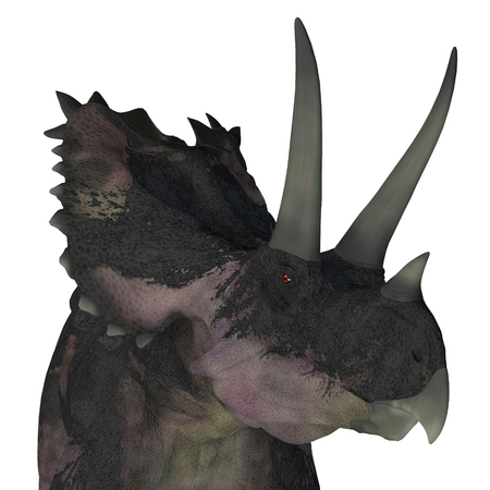 Agujaceratops Dinosaur Head - Agujaceratops was a herbivorous ceratopsian dinosaur that lived in Texas, USA during the Cretaceous Period.の写真素材