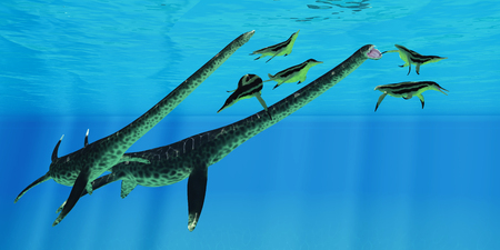Styxosaurus attacks Dolichorhynchops - A group of Dolichorhynchops plesiosaurs scatter as Styxosaurus marine reptiles pursue them for their next meal.の写真素材