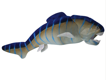 Devonian Dunkleosteus Fish Side Profile - Dunkleosteus was a carnivorous predatory fish that lived in oceans of North America, Europe and Morocco during the Devonian Period.の写真素材