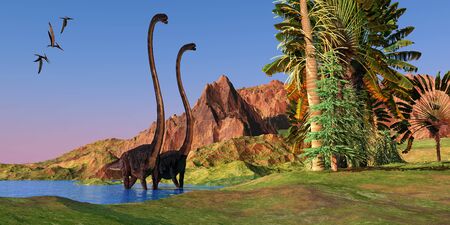 Jurassic Omeisaurus Dinosaurs - Two Omeisaurus dinosaurs wade through shallow water to get to Banana and Carboniferous Pine trees as three Pteranodons fly overhead.の写真素材