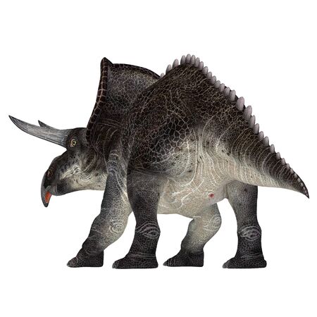 Zuniceratops Dinosaur Tail - Zuniceratops was a herbivorous Ceratopsian dinosaur that lived in New Mexico, United States during the Cretaceous Period.の写真素材