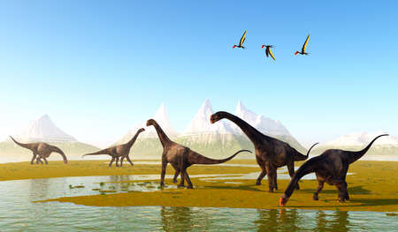 Prehistoric Meadow - Dsungaripterus Pterosaurs fly over a herd of herbivorous Brontomerus dinosaurs eating low growing vegetation.の写真素材