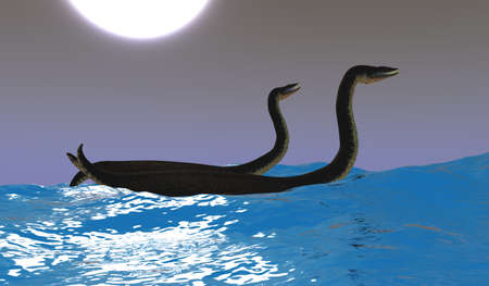 Plesiosaurus Ride Waves - Two Plesiosaurus carnivorous reptiles have fun riding ocean waves on a moonlit night.の写真素材