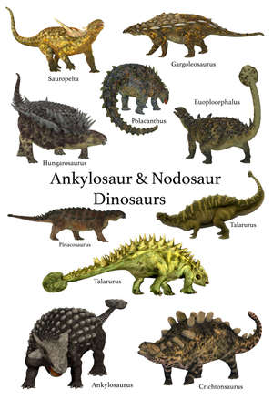 Ankylosaur & Nodosaur Dinosaurs - A collection of prehistoric armored animals known as Ankylosaur and Nodosaur dinosaurs.の写真素材