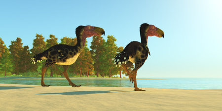 Eocene Kelenken Birds - Two Kelenken Terror Birds come upon a lake during the Miocene Period of Argentina.の写真素材
