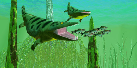 Mastodonsaurus Amphibian Hunting - Mastodonsaurus reptiles chase a school of lake perch during the Triassic Period of Europe.の写真素材
