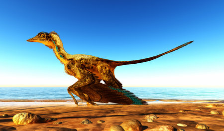 Archaeopteryx on the Beach - Archaeopteryx is known as the earliest bird and was a bridge species between dinosaurs and modern birds.の写真素材