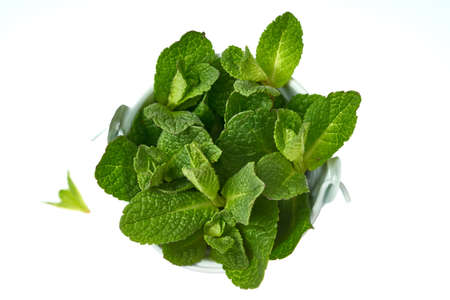 Small sprigs of mint in a small decorative bucket