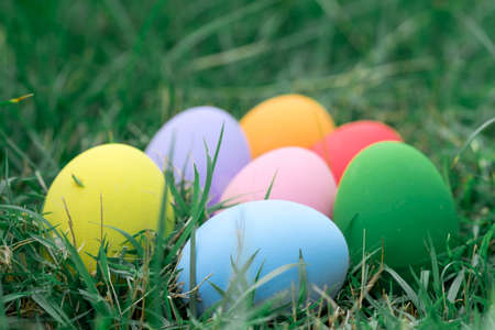 The colorful easter eggs in the nest with green grasses background of front yardの写真素材