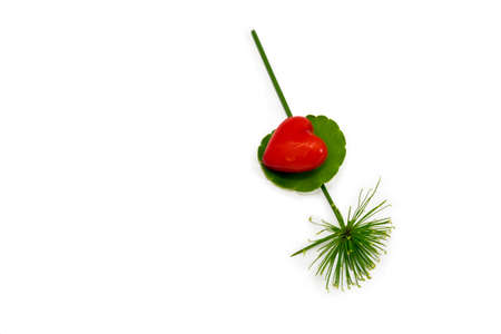 Red heart Valentine sweets on green leaf with  Isolated white background