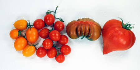 Tomatoes of different varieties of colors and shapes isolated on white. Ripe tomatoes from Spain. Raf, yellow red cherry, pata negra. Many tomatoesの写真素材