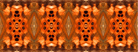 Orange black butterfly wings Vanessa cardui Painted lady background texture, beautiful pattern. for...