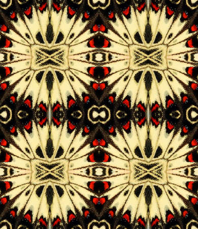Red black butterfly Zerynthia wing background texture, beautiful pattern. Abstract Paint Concept Symmetric Pattern Ornamental Decorative Kaleidoscope Movement Geometric Circle.の写真素材