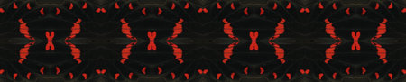 Red black butterfly wings pachliopta background texture, beautiful pattern. For invitations, notebook covers, phone case, postcards, cards, print, ceramics, carpets. Work designの写真素材