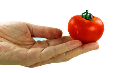 Juicy ripe bright red appetizing fresh tomato in hand. Isolated on white. Vegetables.の写真素材