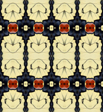 Colorful butterfly wings machaon background texture, beautiful pattern. For invitations, notebook...