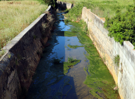 Old stone drainage channel with a large amount of green filamentous algae.の写真素材