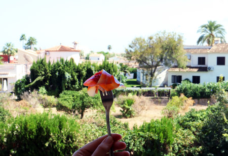 Fork with appetizing Spanish jamon against of Spanish landscape, palm trees, white houses, blue sky, tasty Jamon offerの写真素材