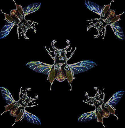 Unusual background with fantastic beetles Lucanus with wings on black, engraving style, exotic pattern, nature conceptの写真素材