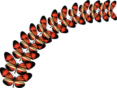 Unusual background of red butterflies flying up, for design of cards, invitations, decor element, natural concept, colorful patternの写真素材