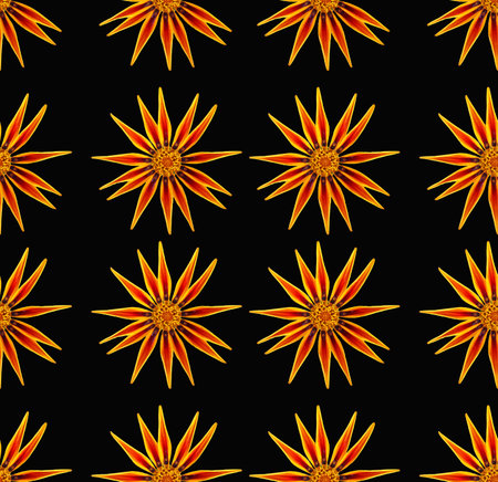 Organic textured pattern orange flowers on black seamless, beautiful daisy chamomile background wallpaper, nature conception, perfect for fabrics and decorationの写真素材