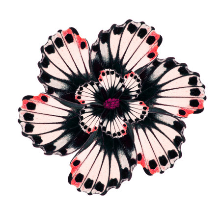 Design element fantastic flower from butterfly wing, for design, art, print, textile, card, texture, background, wallpaper, colorful beautifulの写真素材
