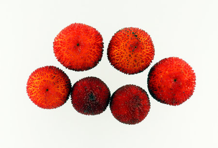 Red round strawberry fruit Arbutus close-up isolated on white, unusual shape, symbol of Madridの写真素材