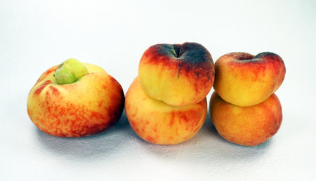 Unusual Donut Peach isolated on white. Ripe fresh tasty flat peaches of unusual shape, fused two by two together close-up. paraguayoの写真素材